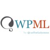 Codice Sconto WPML